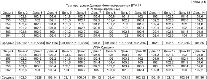 Рекомбинантная вакцина против вируса африканской катаральной лихорадки (патент 2446823)