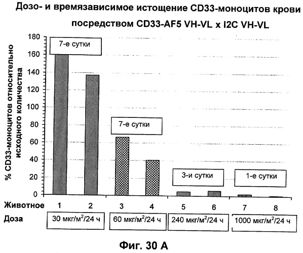 Cd3-эпсилон-связывающий домен с межвидовой специфичностью (патент 2561457)