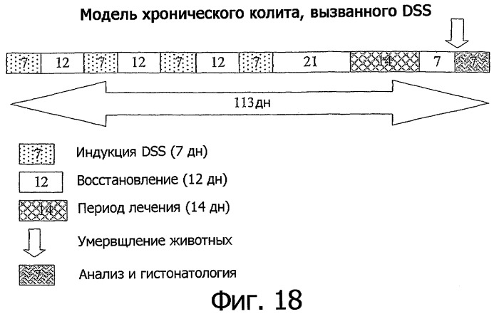 Однодоменные антитела, направленные против фактора некроза опухолей альфа, и их применение (патент 2455312)