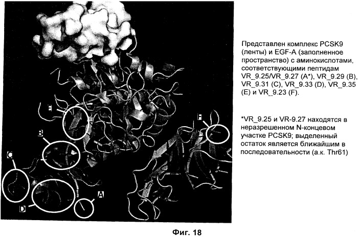 Вакцина против pcsk9 (патент 2538162)