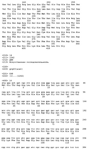 Гены grg23 и grg51, придающие устойчивость к гербицидам (патент 2393225)