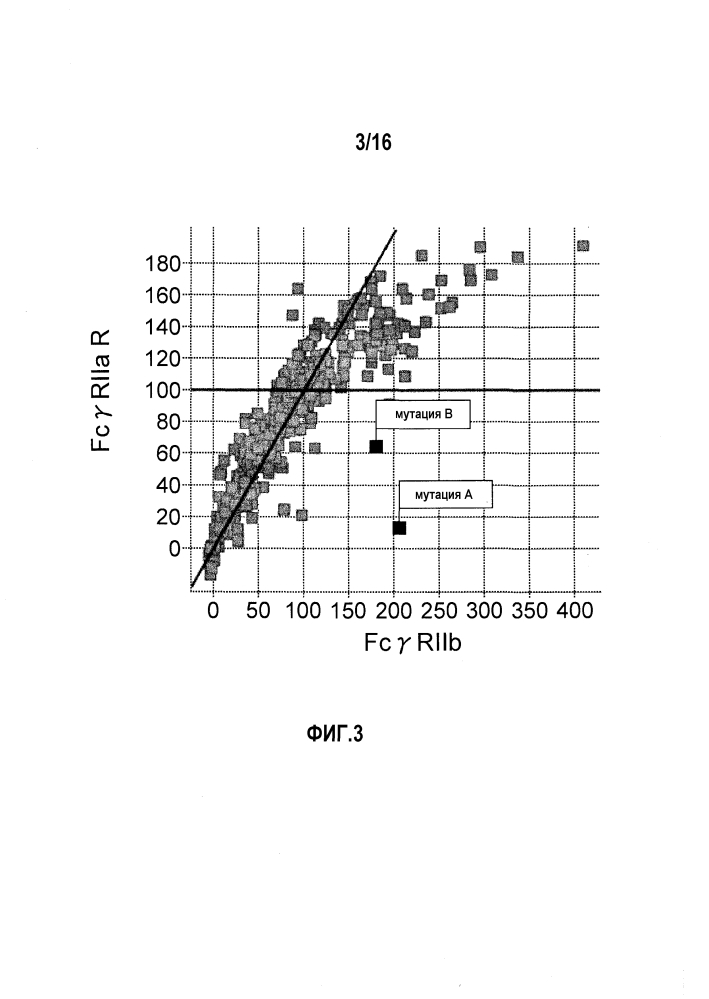 Fcγriib-специфичное fc-антитело (патент 2608504)