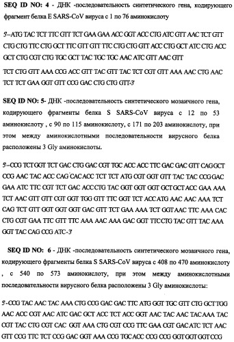 Рекомбинантные белки, содержащие диагностически значимые антигенные эпитопы белков коронавируса (sars-cov), связанного с тяжелым острым респираторным синдромом, и последовательности синтетических генов, кодирующих диагностически значимые антигенные детерминанты белков коронавируса (sars-cov), связанного с тяжелым острым респираторным синдромом (патент 2253870)