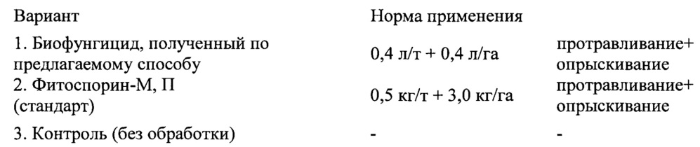 Способ получения биофунгицида (патент 2647569)