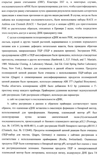 Изолированные полипептиды, кодирующие их полинуклеотиды, экспрессирующие их трансгенные растения и способы их использования (патент 2487166)