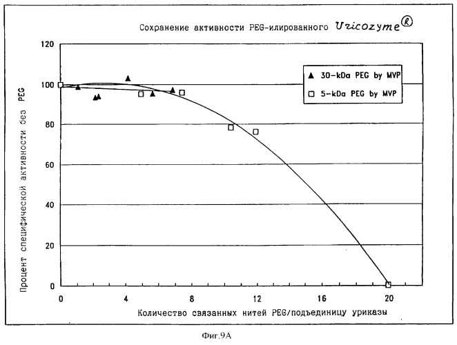 Свободная от агрегатов уратоксидаза для приготовления неиммуногенных полимерных конъюгатов (патент 2352354)