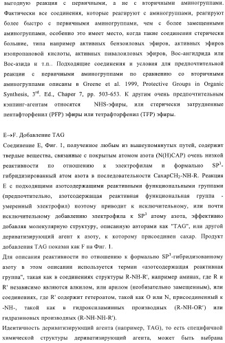 Твердофазное тегирование олигосахаридов: методика для манипуляции с иммобилизированными углеводами (патент 2398237)