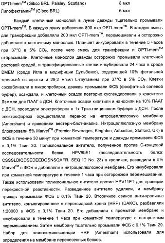 Полинуклеотидная последовательность, кодирующая полипептид вируса папилломы человека, ее применение, а также содержащие ее вектор и фармацевтическая композиция (патент 2354701)