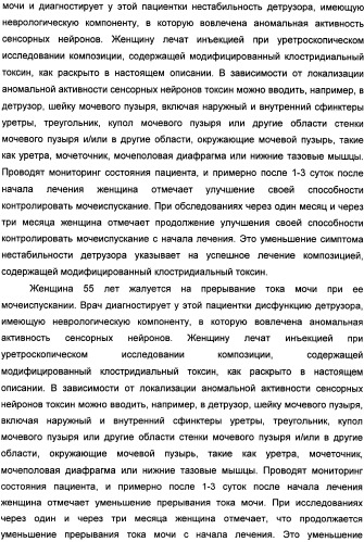Способы лечения мочеполовых-неврологических расстройств с использованием модифицированных клостридиальных токсинов (патент 2491086)