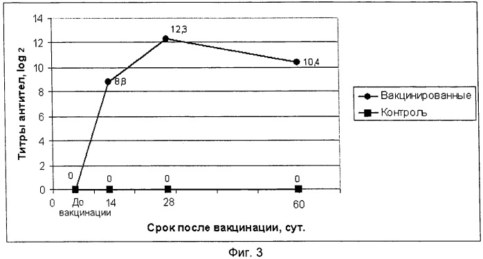 Вакцина ассоциированная против ньюкаслской болезни птиц, инфекционного бронхита кур, синдрома снижения яйценоскости-76, инфекционной бурсальной болезни и реовирусного теносиновита птиц инактивированная эмульсионная (патент 2443429)