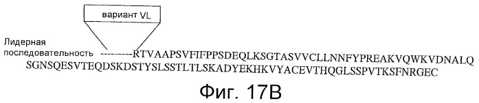 Антитела против сd26 и способы их применения (патент 2486204)