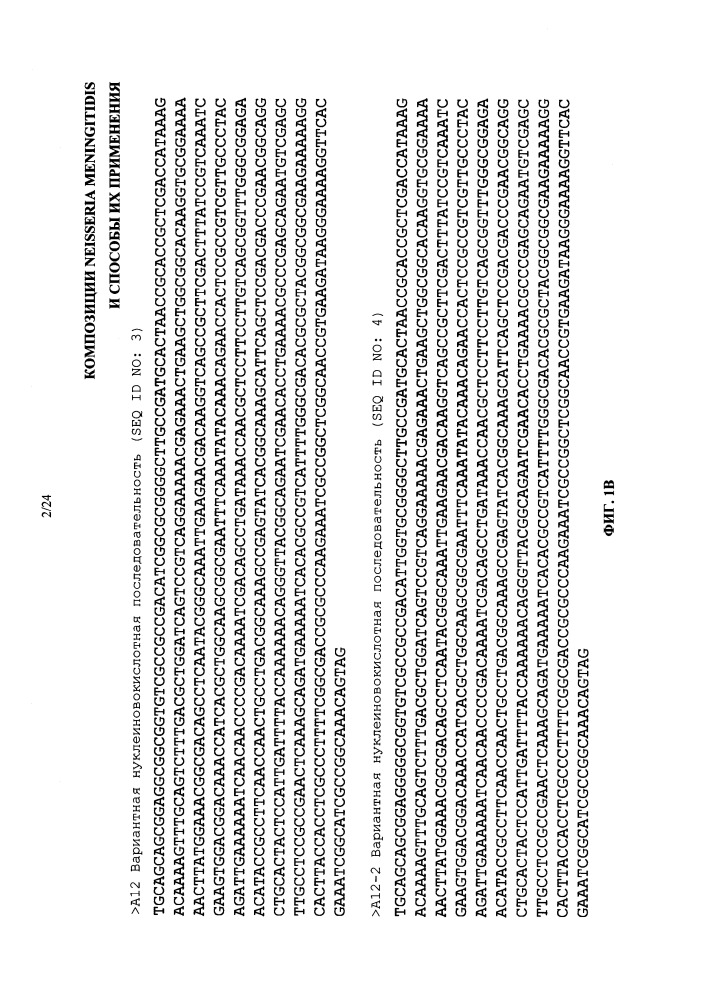 Композиции neisseria meningitidis и способы их применения (патент 2665841)