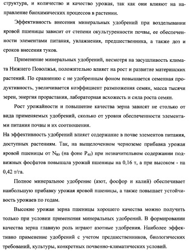 Способ возделывания яровой пшеницы предпочтительно в зоне светло-каштановых почв нижнего поволжья (варианты) (патент 2348137)