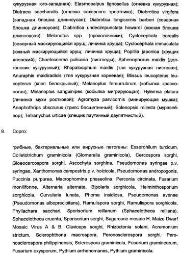 Новые последовательности нуклеиновых кислот и их применение в способах достижения устойчивости к патогенам в растениях (патент 2346985)