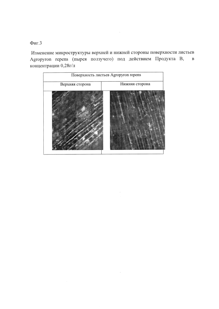 Гербицид на основе аддуктов фуллеренов (патент 2596031)