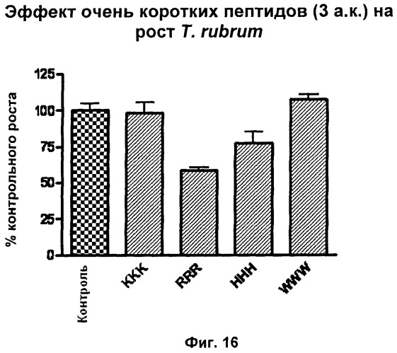 Противомикробные пептиды, содержащие аргинин- и лизинсодержащий мотив (патент 2396273)