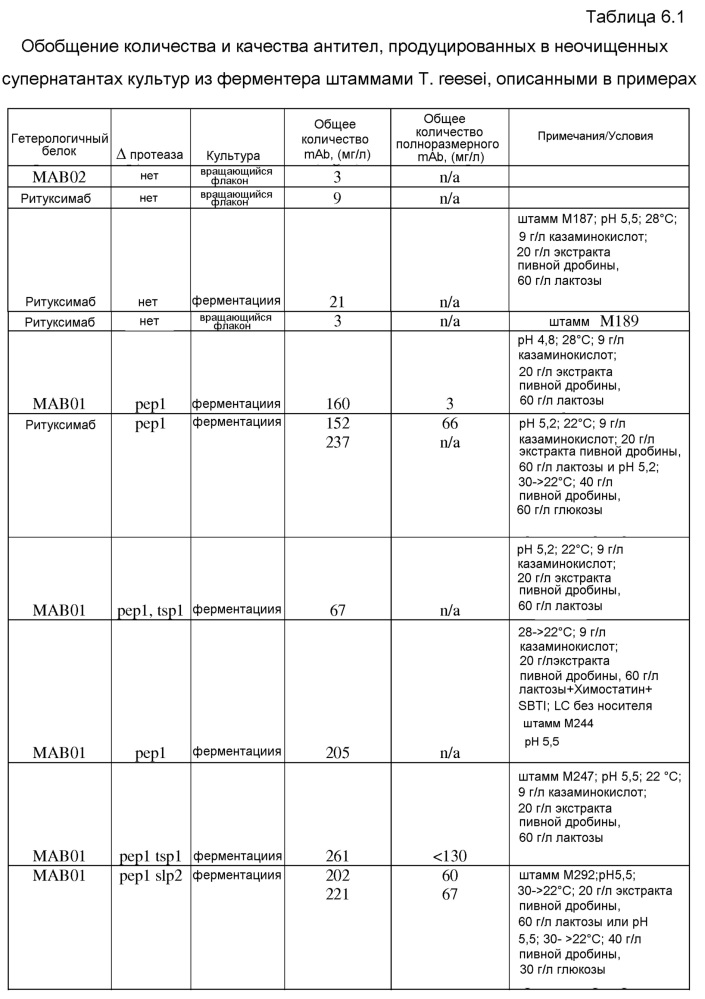 Клетка нитчатых грибов с дефицитом протеаз и способы ее применения (патент 2645252)