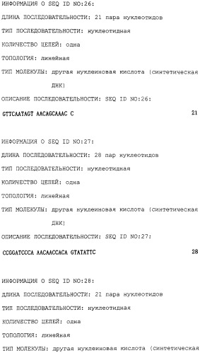 Полипептид, расщепляющий полисахарид, содержащий сульфатированную фукозу, кодирующая его днк, способ его получения, экспрессирующий вектор, способ получения трансформированной e.coli (патент 2246539)