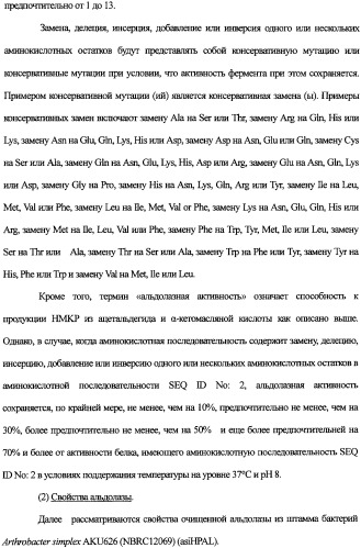 Новая альдолаза, днк, кодирующая альдолазу, клетки, трансформированные днк, способ получения альдолазы и способ получения 4-гидрокси-l-изолейцина (варианты) (патент 2338784)