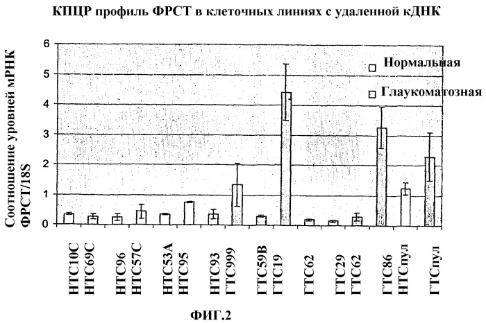 Агенты, которые регулируют, ингибируют или модулируют активность и/или экспрессию факторов роста соединительной ткани (фрст), в качестве уникальных средств для снижения внутриглазного давления и лечения глаукоматозных ретинопатий/оптических невропатий (патент 2332213)