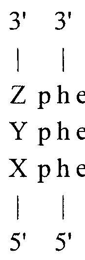 Способы кодирования и декодирования информации (патент 2659025)