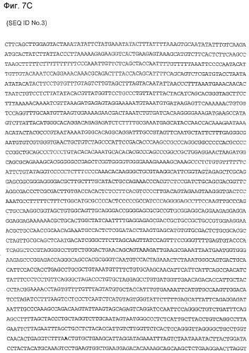 Применение s1p (патент 2362565)