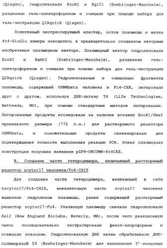 Новый лиганд рецептора цитокина zcytor17 (патент 2360923)