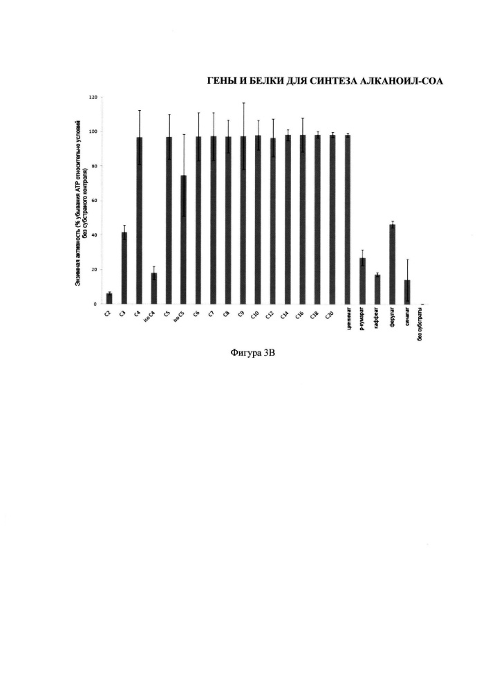 Гены и белки для синтеза алканоил-соа (патент 2650766)