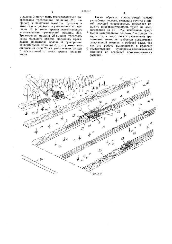 Способ разработки лесосеки (патент 1126246)