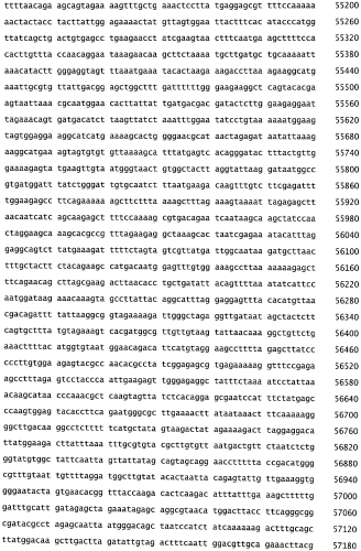Бактериофаг, обладающий активностью против pseudomonas aeruginosa, белки бактериофага и способы их применения (патент 2580248)
