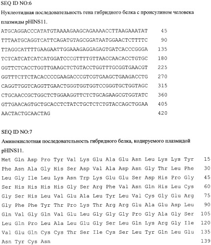 Рекомбинантная плазмидная днк phins11, кодирующая гибридный белок-предшественник инсулина человека, клетка escherichia coli, трансформированная рекомбинантной плазмидной днк phins11, штамм бактерий escherichia coli jm109/phins11 - продуцент гибридного белка-предшественника инсулина человека и способ получения инсулина человека (патент 2354702)