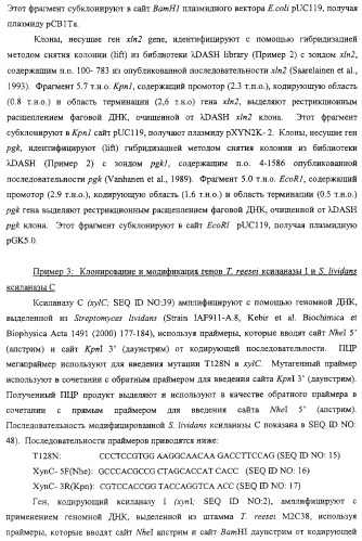 Модифицированная ксиланаза (патент 2394909)