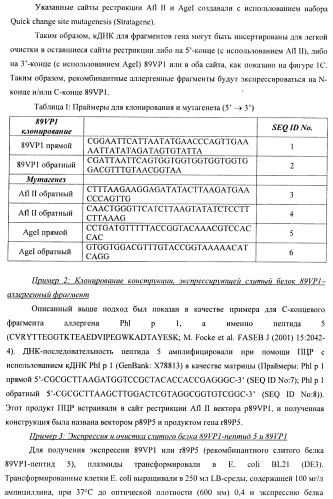 Гипоаллергенный слитый белок, молекула нуклеиновой кислоты, кодирующая его, вектор экспрессии, клетка-хозяин, вакцинная композиция и его применение (патент 2486206)