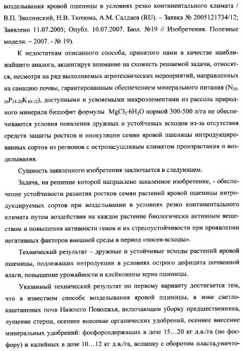 Способ возделывания яровой пшеницы предпочтительно в зоне светло-каштановых почв нижнего поволжья (варианты) (патент 2348137)