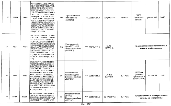 Бактериофаг, обладающий активностью против pseudomonas aeruginosa, белки бактериофага и способы их применения (патент 2580248)
