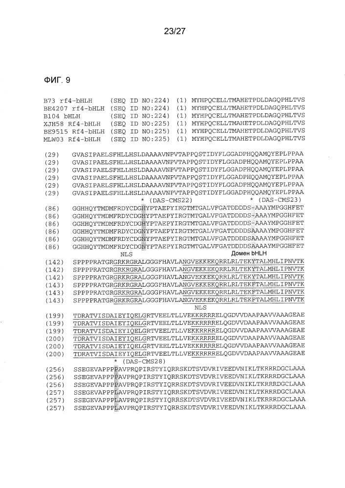 Ген-восстановитель rf4 для цитоплазматической мужской стерильности (cms) c-типа кукурузы, молекулярные маркеры и их применение (патент 2603005)