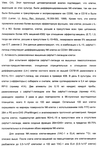 Выделенный полипептид, связывающий рецептор zalpha11-лиганда (варианты), кодирующий его полинуклеотид (варианты), вектор экспрессии (варианты) и клетка-хозяин (варианты) (патент 2346951)