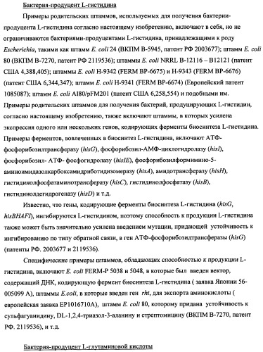 Способ получения l-треонина с использованием бактерии, принадлежащей к роду escherichia (патент 2338783)