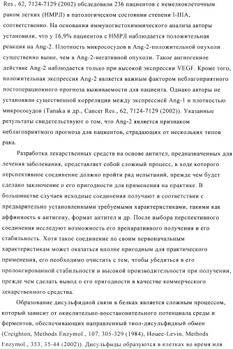 Стабилизированные антитела против ангиопоэтина-2 и их применение (патент 2509085)