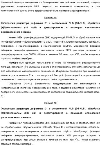 Способ идентификации соединений, взаимодействующих с трансмембранными белками (патент 2326166)