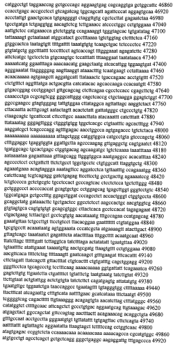 Модуляция экспрессии гентингтина (патент 2562861)