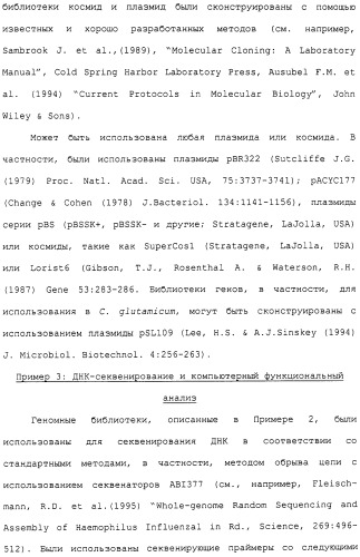 Гены corynebacterium glutamicum, кодирующие белки метаболических путей (патент 2306339)