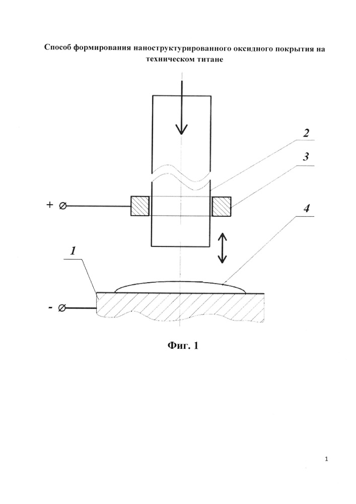 Способ формирования наноструктурированного оксидного покрытия на техническом титане (патент 2650221)