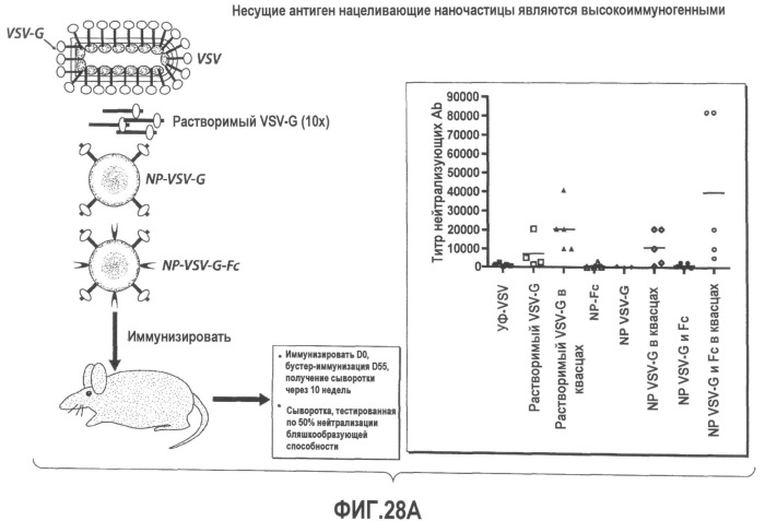 Включение адъюванта в иммунонанотерапевтические средства (патент 2496517)