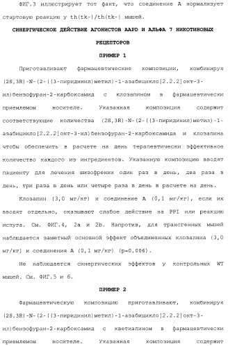 Комбинация агонистов альфа 7 никотиновых рецепторов и антипсихотических средств (патент 2481123)