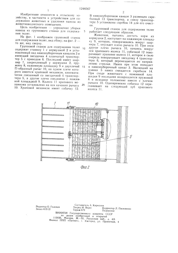 Групповой станок для содержания телят (патент 1248567)