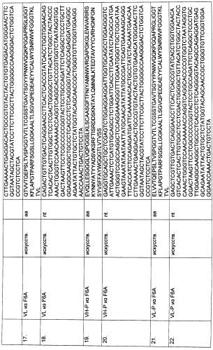 Pscaxcd3, cd19xcd3, c-metxcd3, эндосиалинxcd3, epcamxcd3, igf-1rxcd3 или fap-альфаxcd3 биспецифическое одноцепочечное антитело с межвидовой специфичностью (патент 2547600)