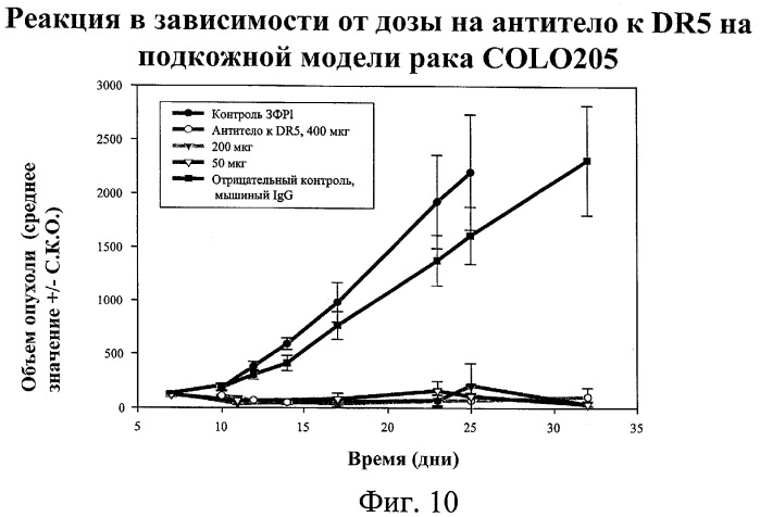 Способы и композиции для индукции апоптоза раковых клеток (патент 2379056)