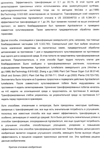 Улучшенная трансформация сои (патент 2389797)