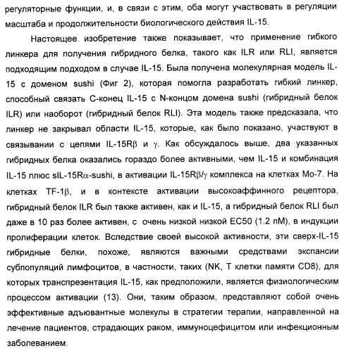 Соединение, предназначенное для стимуляции пути передачи сигнала через il-15rбета/гамма, с целью индуцировать и/или стимулировать активацию и/или пролиферацию il-15rбета/гамма-положительных клеток, таких как nk-и/или t-клетки, нуклеиновая кислота, кодирующая соединение, вектор экспрессии, клетка-хозяин, адъювант для иммунотерапевтической композиции, фармацевтическая композиция и лекарственное средство для лечения состояния или заболевания, при котором желательно повышение активности il-15, способ in vitro индукции и/или стимуляции пролиферации и/или активации il-15rбета/гамма-положительных клеток и способ получения in vitro активированных nk-и/или t-клеток (патент 2454463)